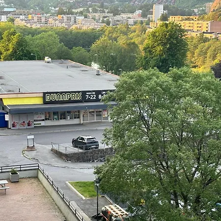 Fin Naert Alt Bergen