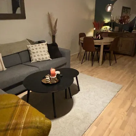 Fin Naert Alt * Bergen