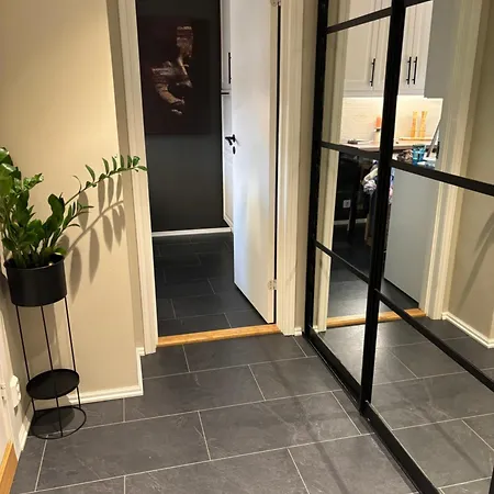 Fin Naert Alt Bergen