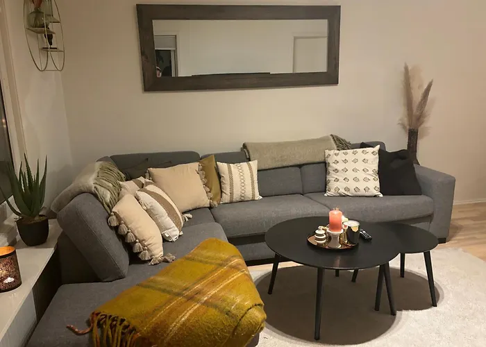 Fin Naert Alt 卑爾根