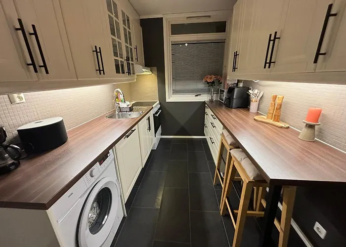 Fin Naert Alt * 卑爾根