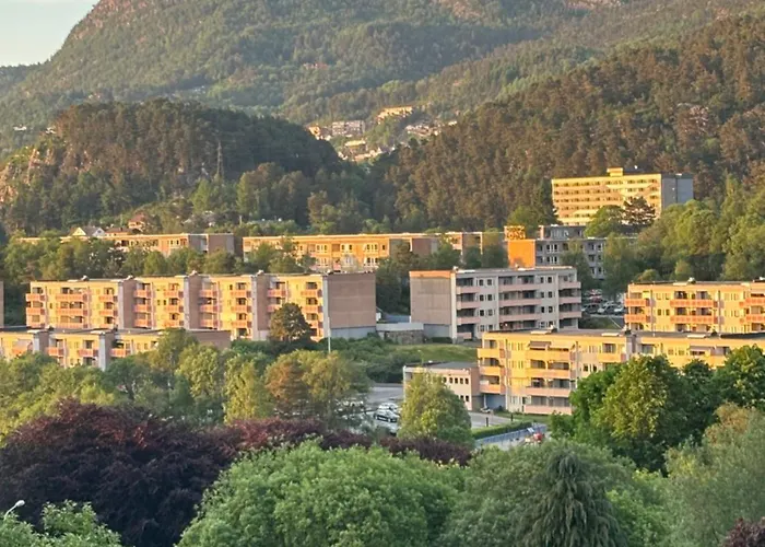 Apartment Fin Naert Alt *