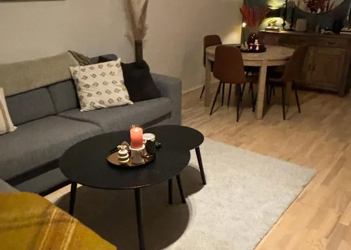 Fin Naert Alt * 卑爾根