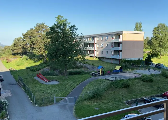 Fin Naert Alt Bergen