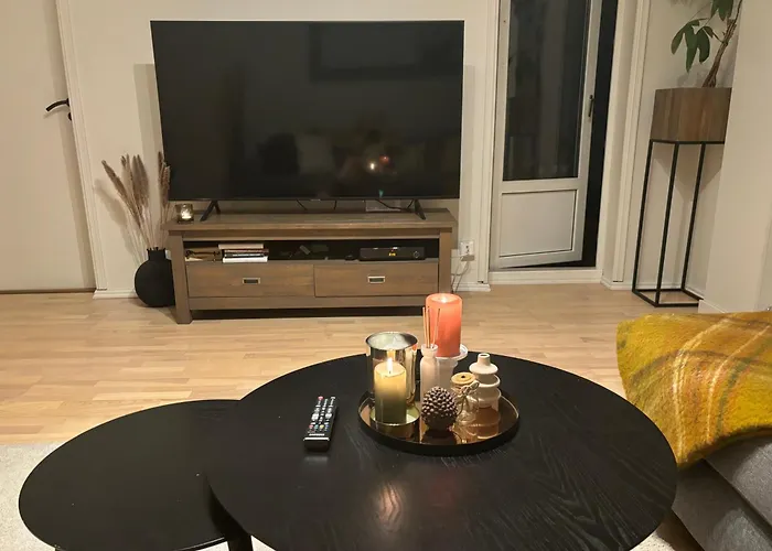 Fin Naert Alt Appartement