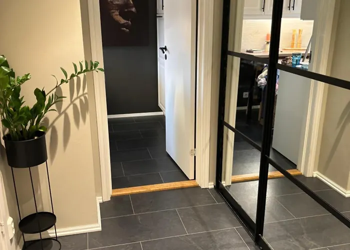 Fin Naert Alt Bergen