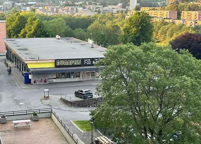 Fin Naert Alt Bergen