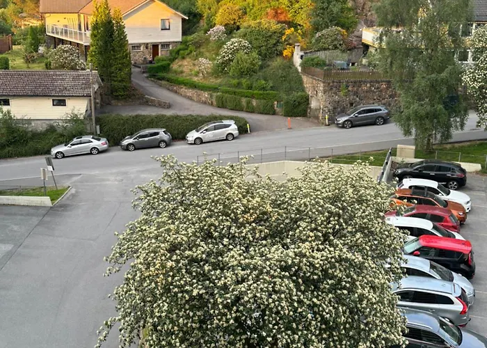 Fin Naert Alt Apartment *