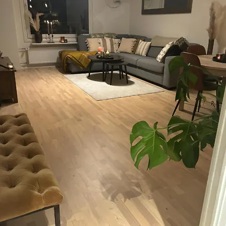 Apartment Fin Naert Alt *